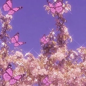 Meet your Posher, Claire